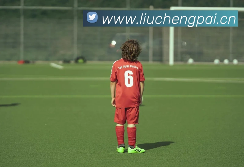 星空体育首页官网发展历程