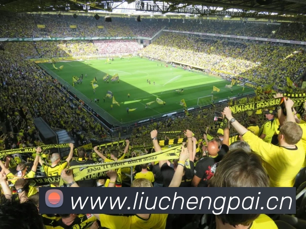 欧洲两大联赛对决:德甲与意甲积分榜深度解读